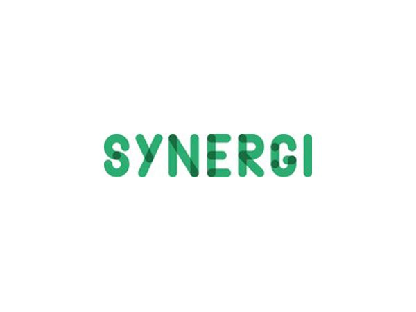 Danfoss, Grundfos, VELUX og ROCKWOOL står bag interesseorganisationen Synergi, der skal arbejde for at sikre en effektiv og klog overgang til vedvarende energi.