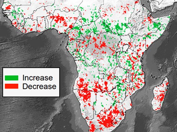 Ændringer i vegetationens kulstoflagre (over jordoverfladen) i Afrika syd for Sahara i perioden 2010 til 2016. Regioner med signifikant negative (kulstoffrigivelse) eller positive (kulstofoptag) kulstofændringer er vist henholdsvis med rød og grøn. (Kilde: M. Brandt/KU)