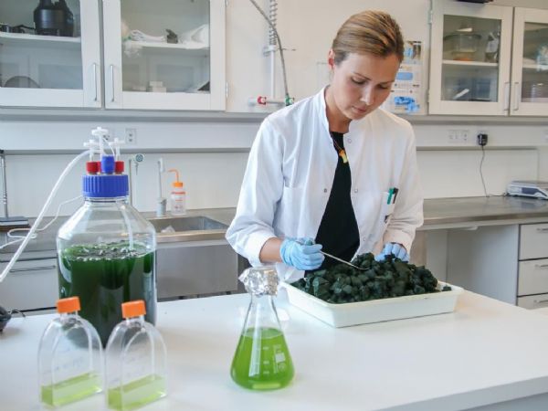 Teknologisk Institut har valgt at stille ekstra skarpt på fremtidens intelligente og bæredygtige fødvarer i forbindelse med WorldFoodDay den 16. oktober.