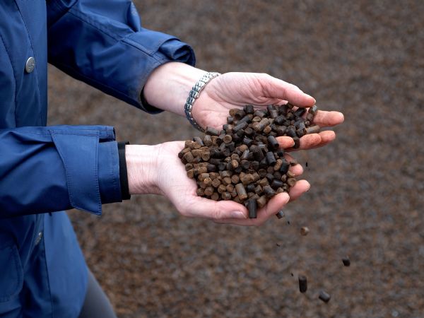 Black Pellets er et restprodukt efter produktion af ethanol. Pillerne har en høj brændværdi, fremhæver Verdo. (Foto: Verdo)